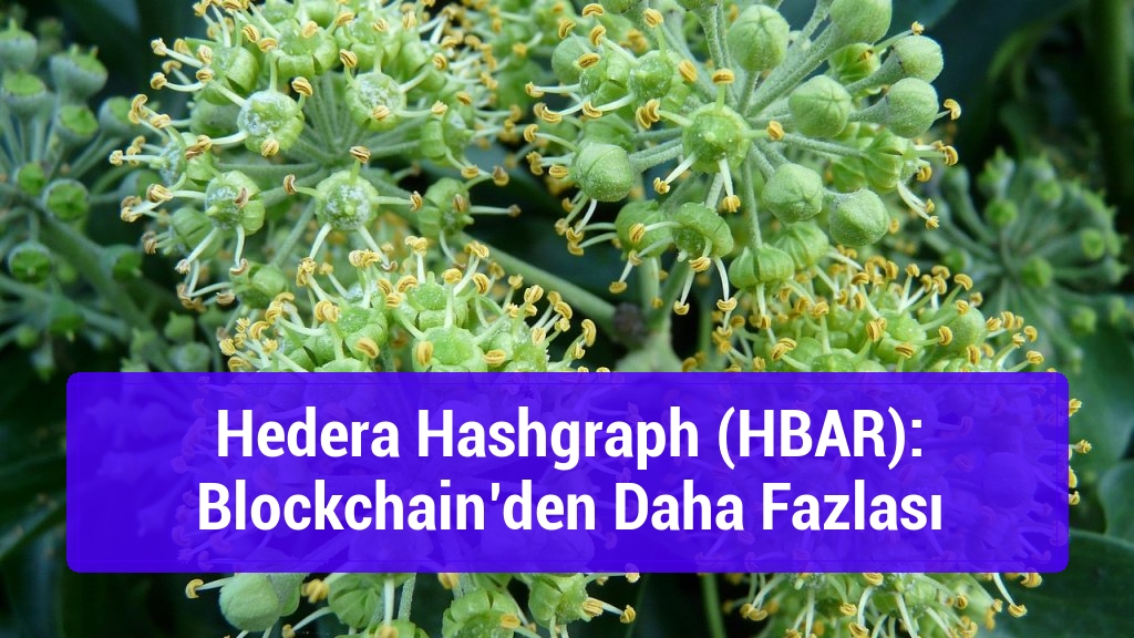 Hedera Hashgraph (HBAR): Blockchain’den Daha Fazlası