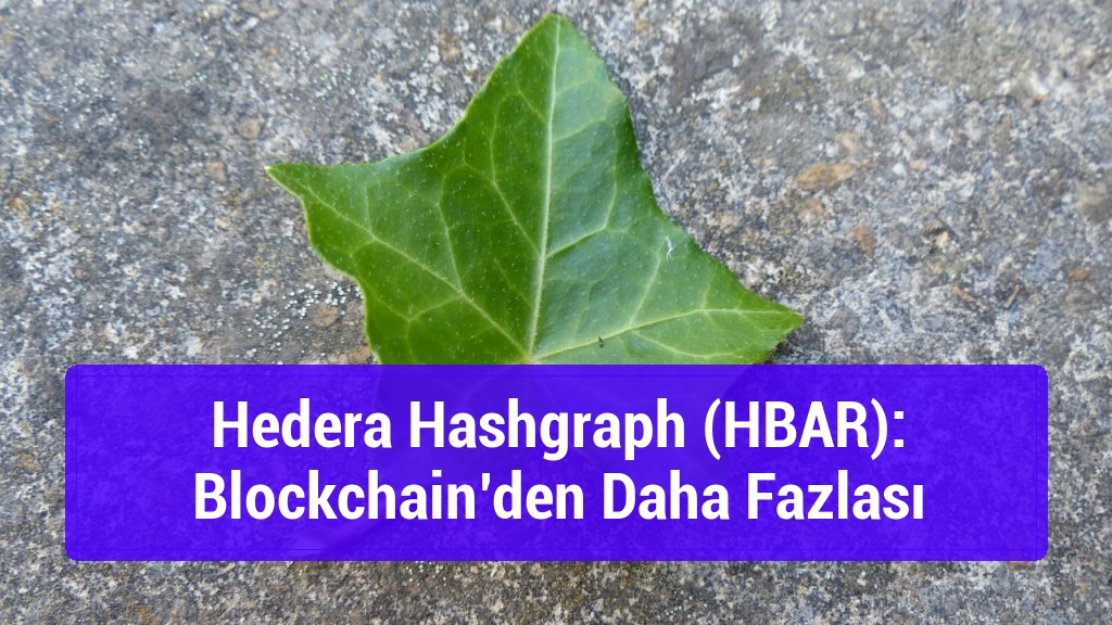 Hedera Hashgraph (HBAR): Blockchain’den Daha Fazlası
