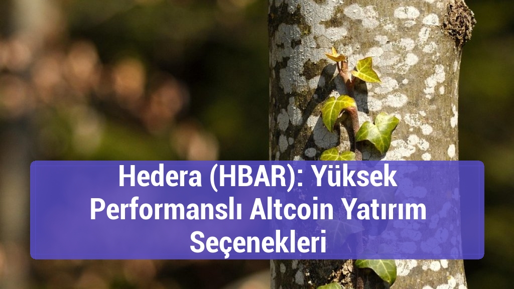 Hedera (HBAR): Yüksek Performanslı Altcoin Yatırım Seçenekleri