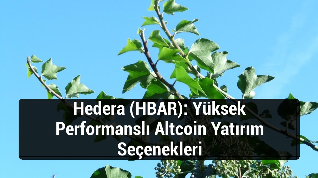 Hedera (HBAR): Yüksek Performanslı Altcoin Yatırım Seçenekleri