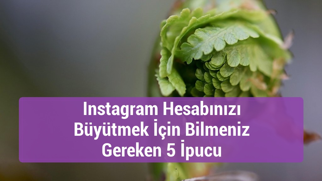 Instagram Hesabınızı Büyütmek İçin Bilmeniz Gereken 5 İpucu