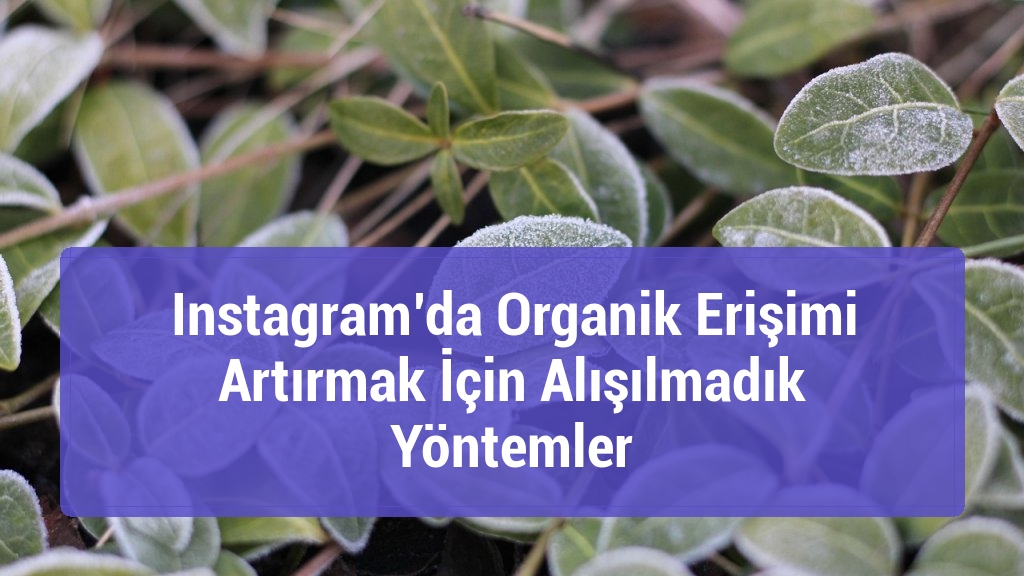 Instagram’da Organik Erişimi Artırmak İçin Alışılmadık Yöntemler