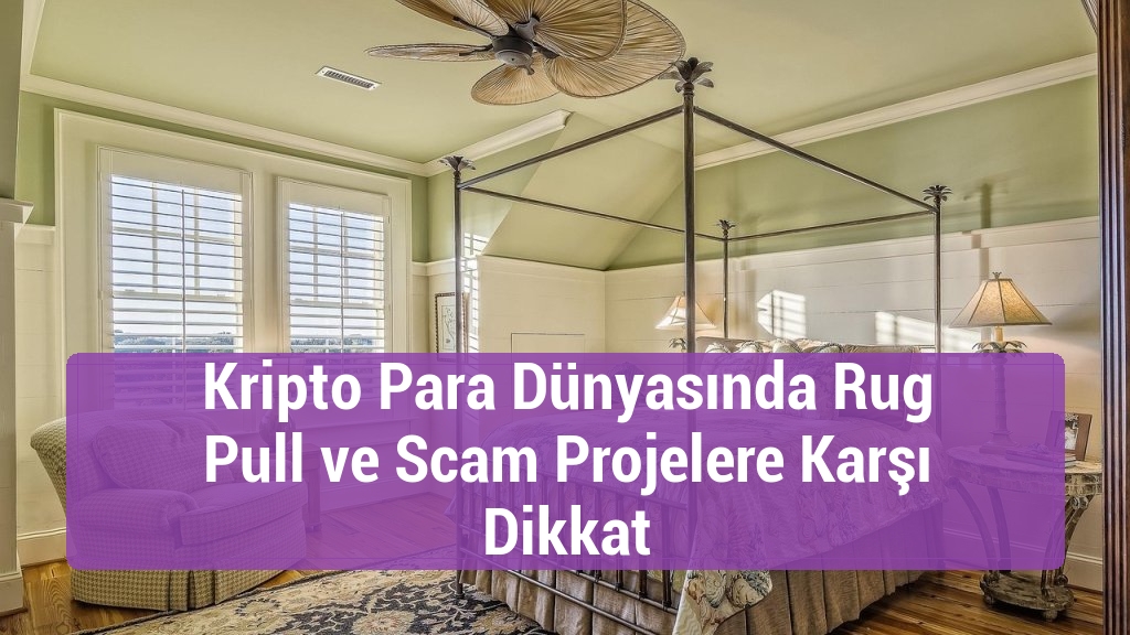 Kripto Para Dünyasında Rug Pull ve Scam Projelere Karşı Dikkat