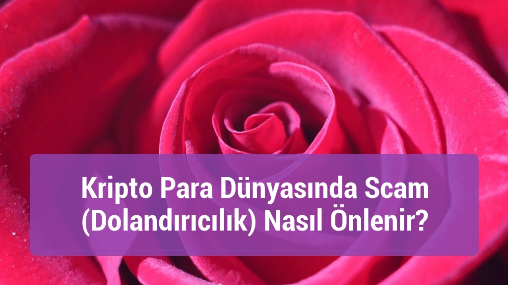 Kripto Para Dünyasında Scam (Dolandırıcılık) Nasıl Önlenir?