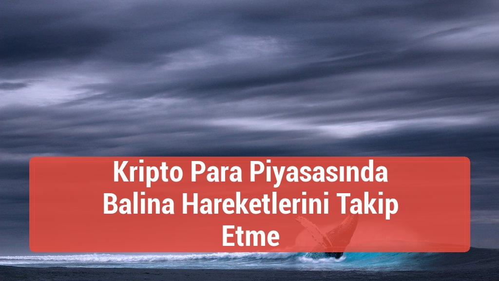 Kripto Para Piyasasında Balina Hareketlerini Takip Etme