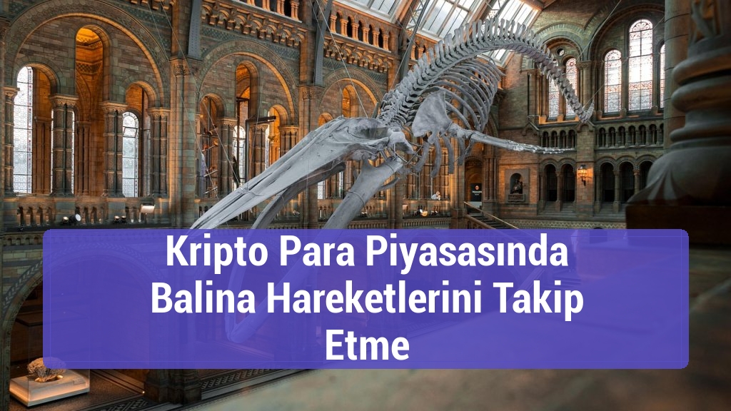 Kripto Para Piyasasında Balina Hareketlerini Takip Etme