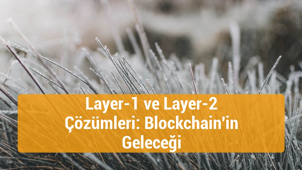 Layer-1 ve Layer-2 Çözümleri: Blockchain'in Geleceği