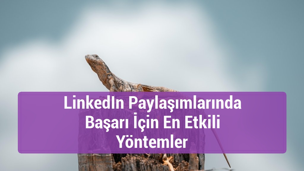 LinkedIn Paylaşımlarında Başarı İçin En Etkili Yöntemler
