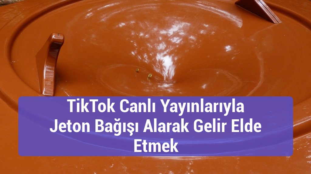 TikTok Canlı Yayınlarıyla Jeton Bağışı Alarak Gelir Elde Etmek