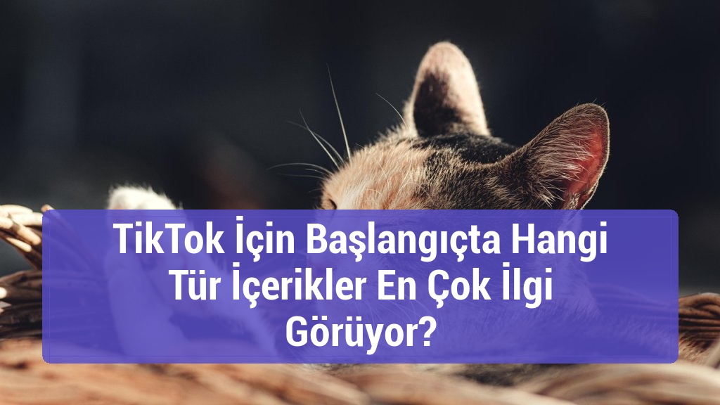 TikTok İçin Başlangıçta Hangi Tür İçerikler En Çok İlgi Görüyor?