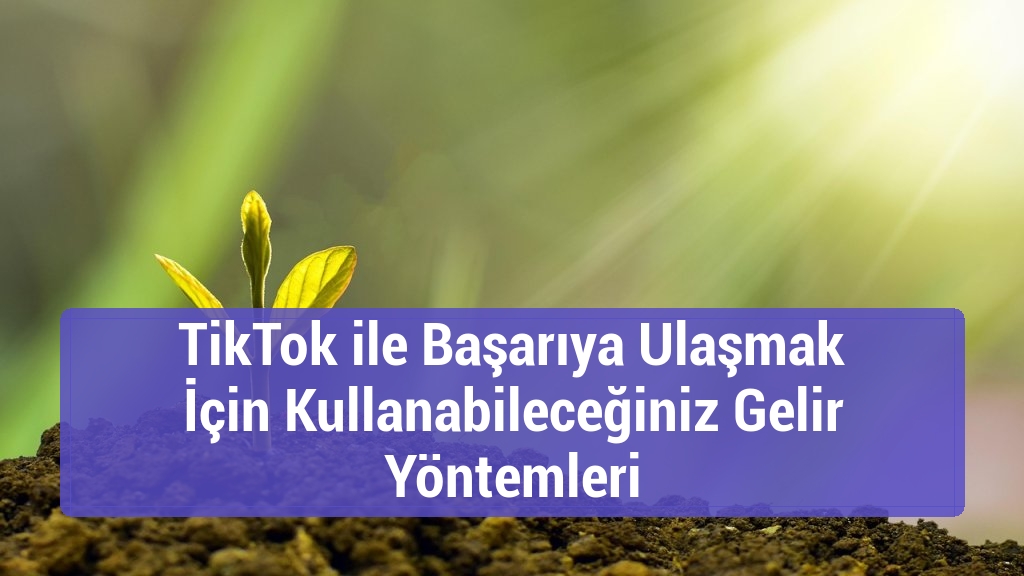 TikTok ile Başarıya Ulaşmak İçin Kullanabileceğiniz Gelir Yöntemleri
