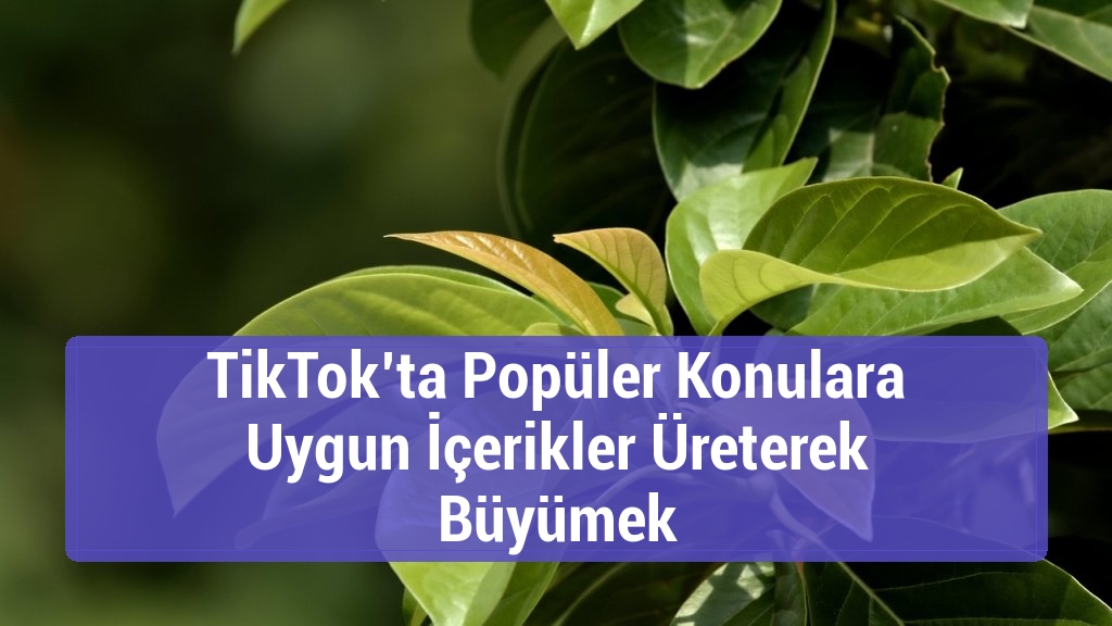 TikTok’ta Popüler Konulara Uygun İçerikler Üreterek Büyümek