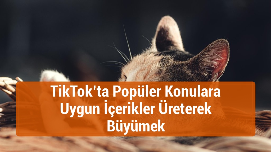 TikTok’ta Popüler Konulara Uygun İçerikler Üreterek Büyümek