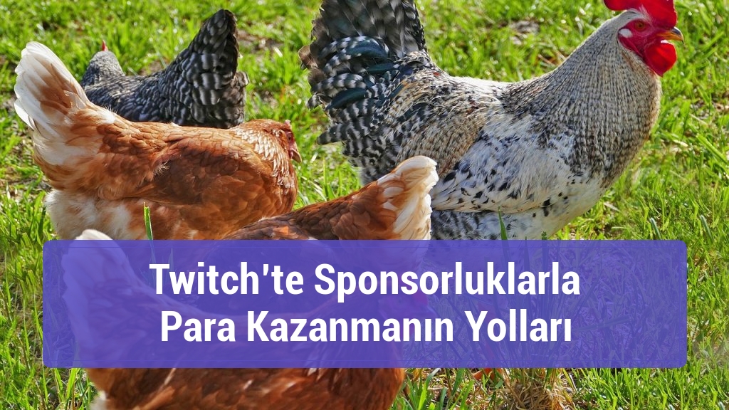 Twitch’te Sponsorluklarla Para Kazanmanın Yolları