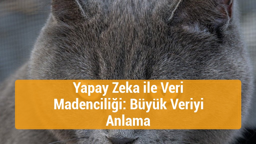 Yapay Zeka ile Veri Madenciliği: Büyük Veriyi Anlama