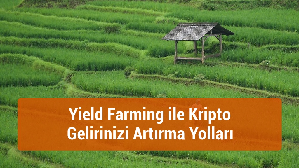 Yield Farming ile Kripto Gelirinizi Artırma Yolları