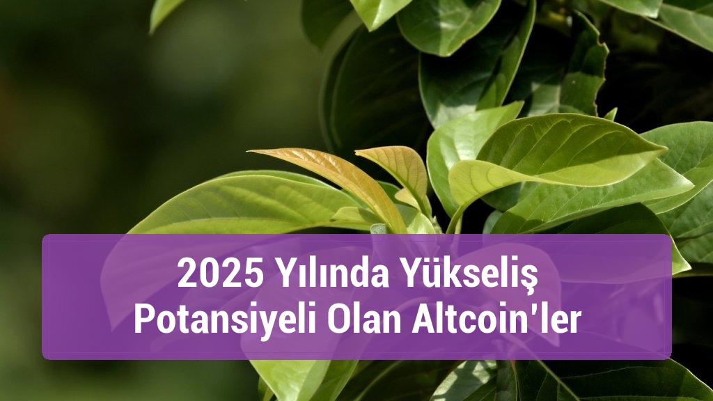 2025 Yılında Yükseliş Potansiyeli Olan Altcoin’ler
