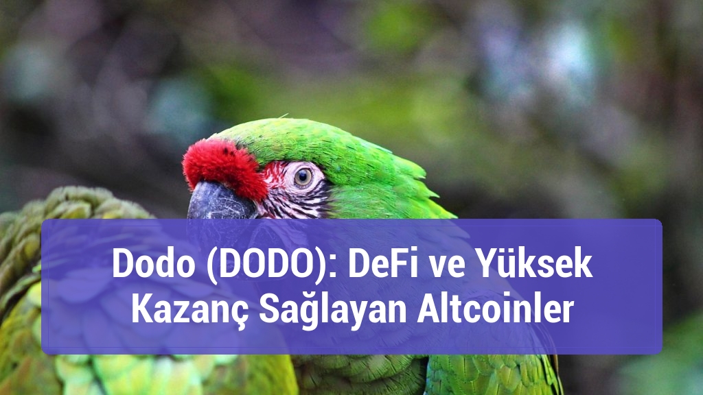 Dodo (DODO): DeFi ve Yüksek Kazanç Sağlayan Altcoinler