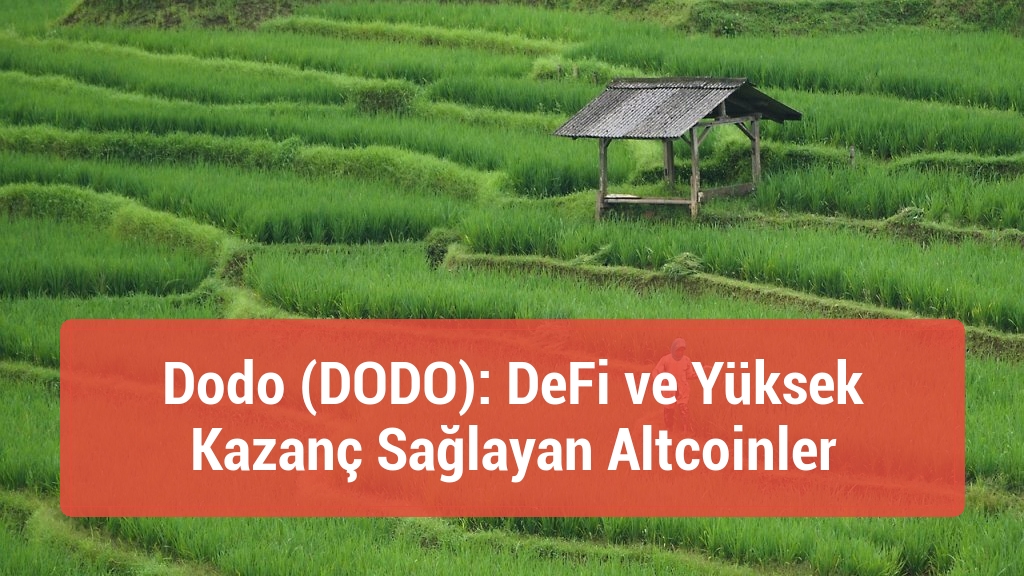 Dodo (DODO): DeFi ve Yüksek Kazanç Sağlayan Altcoinler
