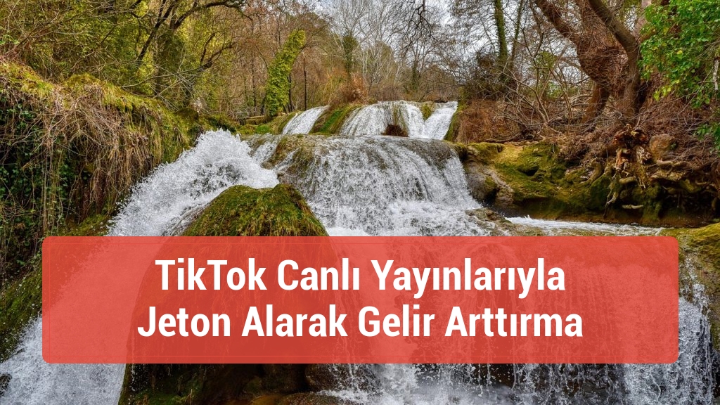 TikTok Canlı Yayınlarıyla Jeton Alarak Gelir Arttırma
