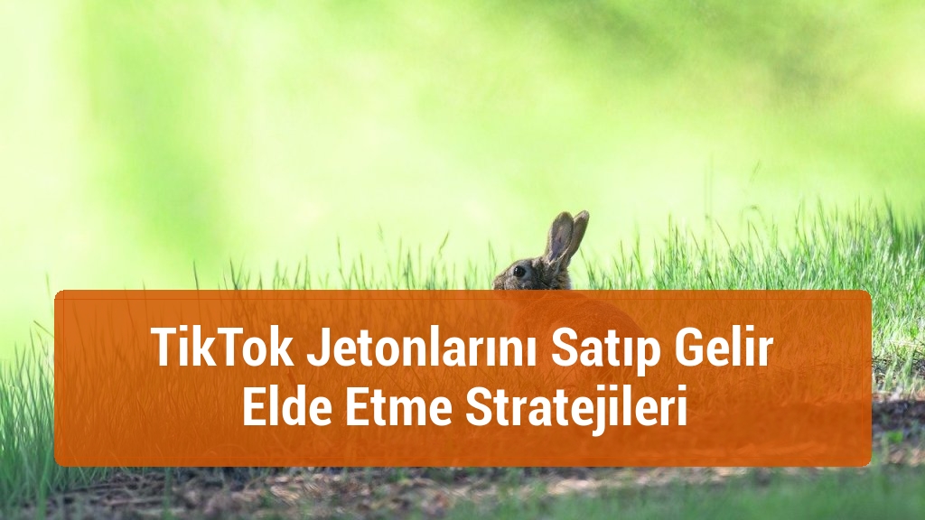 TikTok Jetonlarını Satıp Gelir Elde Etme Stratejileri