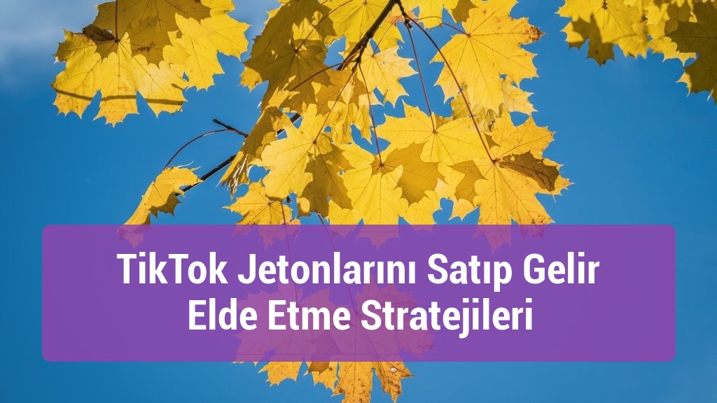 TikTok Jetonlarını Satıp Gelir Elde Etme Stratejileri
