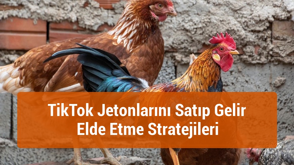 TikTok Jetonlarını Satıp Gelir Elde Etme Stratejileri