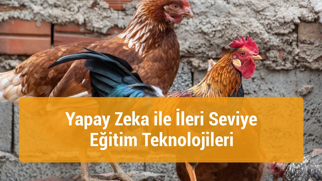 Yapay Zeka ile İleri Seviye Eğitim Teknolojileri