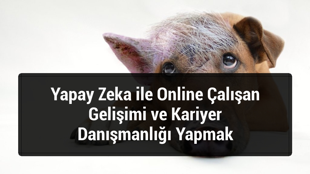 Yapay Zeka ile Online Çalışan Gelişimi ve Kariyer Danışmanlığı Yapmak